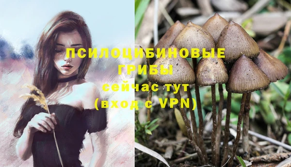 твердый Лихославль