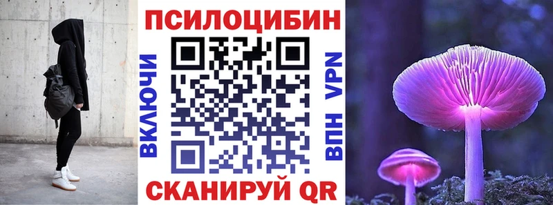 Галлюциногенные грибы Psilocybe  Фокино 