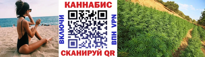 купить   Фокино  Шишки марихуана THC 21% 